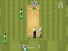 Cricket 96 screenshot #3