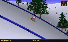 Deluxe Ski Jump screenshot #10