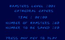 Hamsters screenshot #2