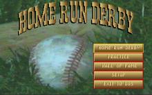 Home Run Derby screenshot #5