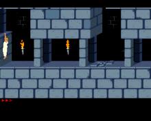 Prince of Persia screenshot #11