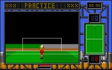 International Soccer Challenge screenshot #4