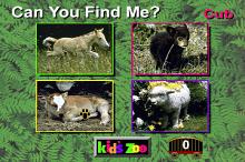 Kid's Zoo: A Baby Animal Adventure screenshot #7