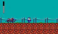 Mega Man screenshot #11