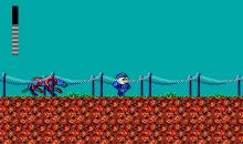 Mega Man screenshot #11