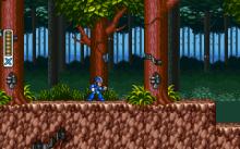 Mega Man X screenshot #8
