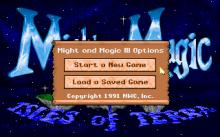 Might and Magic III: Isles of Terra screenshot #4