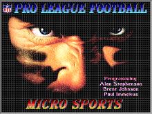 NFL Pro League Football screenshot