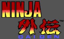 Ninja Gaiden screenshot #2