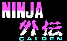 Ninja Gaiden screenshot #6
