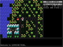 Rescue of Lorri in Lorrinitron, The screenshot #2