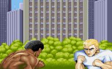 Street Fighter II screenshot