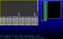Skull Quest I: The Cyan Sarcophagus screenshot #5