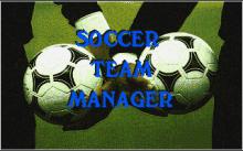 Soccer Team Manager screenshot