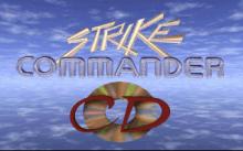 Strike Commander (CD-ROM Edition) screenshot #2