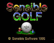 Sensible Golf screenshot #2