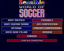 Sensible World of Soccer screenshot #2