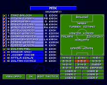 Sensible World of Soccer screenshot #5