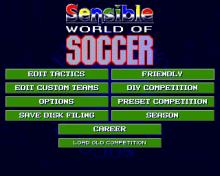 Sensible World of Soccer screenshot #8