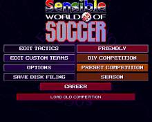 Sensible World of Soccer 96-97 screenshot #3