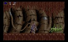 Shadow of the Beast 1 screenshot #13