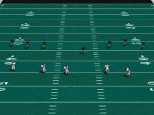 Total Control Football screenshot #3