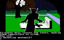 Transylvania screenshot #3