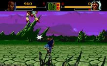 Shaq-Fu AGA screenshot #8