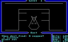 Ultima I: The First Age of Darkness screenshot #9