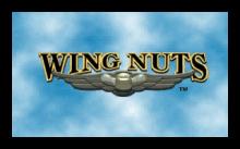 Wing Nuts: Battle in the Sky screenshot #4