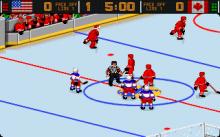 World Hockey '95 screenshot #4