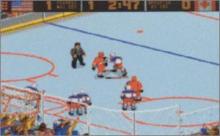 World Hockey '95 screenshot #6