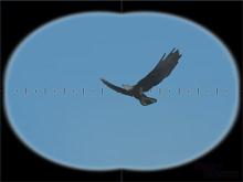 Cabela's 4x4 Off-Road Adventure 3 screenshot #9