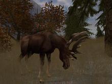 Cabela's Big Game Hunter 2004 screenshot #1