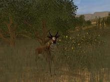 Cabela's Big Game Hunter 2004 screenshot #3