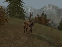 Cabela's Big Game Hunter 2004 screenshot #4