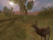 Cabela's Big Game Hunter 2004 screenshot #7