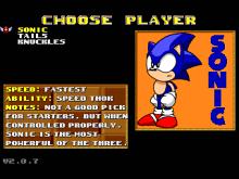 Sonic Robo Blast 2 screenshot #4