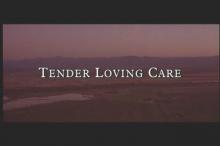 Tender Loving Care screenshot