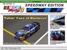 NASCAR Racing 3 screenshot #8