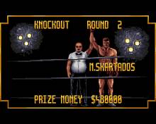 3D World Boxing screenshot #4