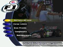 F1 2000 screenshot #1