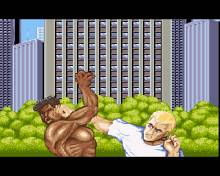Street Fighter 2 screenshot #3