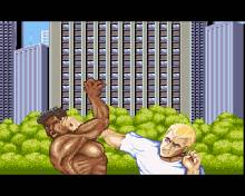 Street Fighter 2 screenshot #3