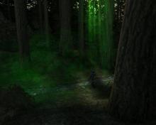 Forgotten Realms: Demon Stone screenshot #2