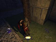 Thief: Deadly Shadows screenshot #14
