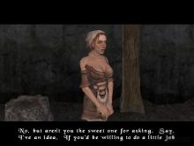 Bard's Tale, The screenshot #2