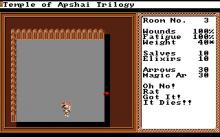 Temple of Apshai Trilogy screenshot #6