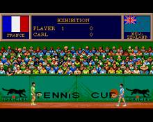 Tennis Cup screenshot #3