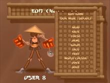 Rag Doll Kung Fu screenshot #4